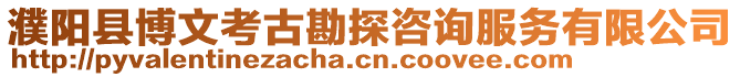 濮陽縣博文考古勘探咨詢服務(wù)有限公司