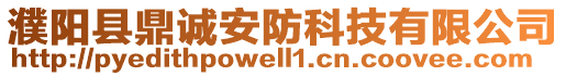 濮陽縣鼎誠安防科技有限公司