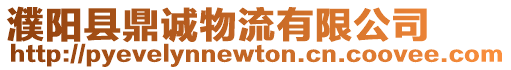 濮陽縣鼎誠物流有限公司