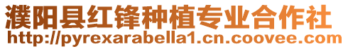 濮陽縣紅鋒種植專業合作社