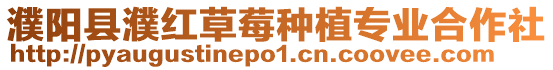濮陽縣濮紅草莓種植專業合作社