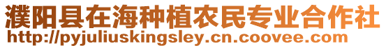 濮陽縣在海種植農民專業合作社