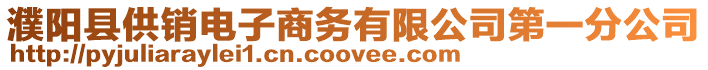 濮陽縣供銷電子商務(wù)有限公司第一分公司