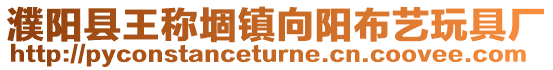 濮陽縣王稱堌鎮向陽布藝玩具廠