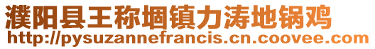 濮陽縣王稱堌鎮力濤地鍋雞