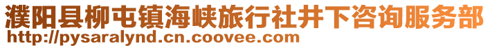 濮陽縣柳屯鎮海峽旅行社井下咨詢服務部