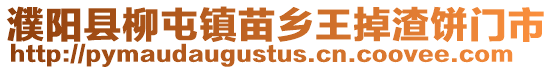 濮陽縣柳屯鎮(zhèn)苗鄉(xiāng)王掉渣餅門市