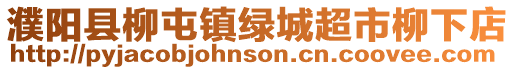濮陽縣柳屯鎮綠城超市柳下店