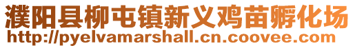 濮陽縣柳屯鎮新義雞苗孵化場