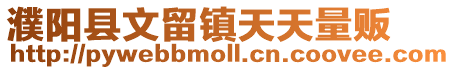 濮陽縣文留鎮(zhèn)天天量販