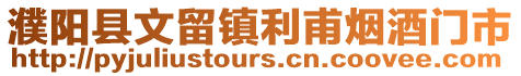 濮陽(yáng)縣文留鎮(zhèn)利甫煙酒門(mén)市
