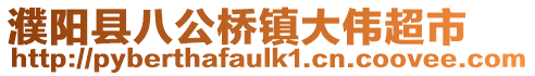 濮陽縣八公橋鎮大偉超市