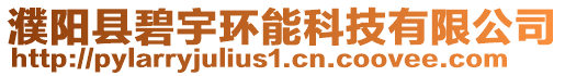 濮陽縣碧宇環能科技有限公司