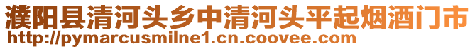 濮陽(yáng)縣清河頭鄉(xiāng)中清河頭平起煙酒門市