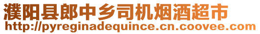 濮陽縣郎中鄉(xiāng)司機(jī)煙酒超市