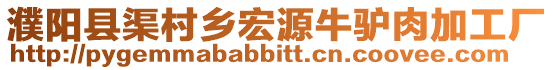 濮陽縣渠村鄉(xiāng)宏源牛驢肉加工廠