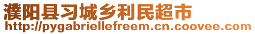 濮陽縣習城鄉利民超市