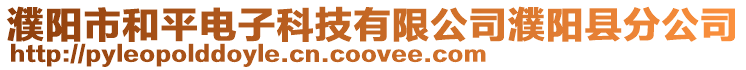 濮陽市和平電子科技有限公司濮陽縣分公司