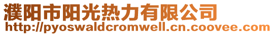 濮陽市陽光熱力有限公司