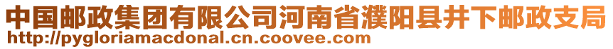 中國郵政集團有限公司河南省濮陽縣井下郵政支局