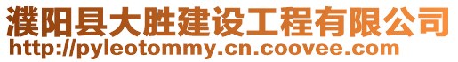 濮陽縣大勝建設工程有限公司