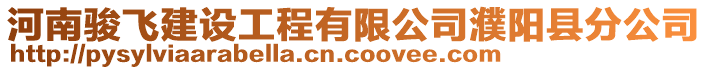 河南駿飛建設工程有限公司濮陽縣分公司