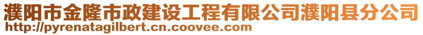 濮阳市金隆市政建设工程有限公司濮阳县分公司