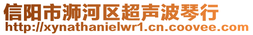 信陽市浉河區(qū)超聲波琴行