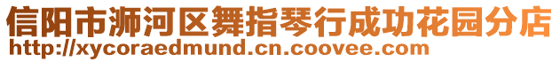 信陽市浉河區(qū)舞指琴行成功花園分店