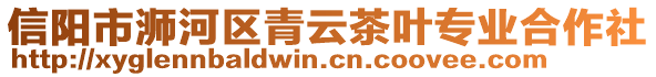 信陽市浉河區青云茶葉專業合作社