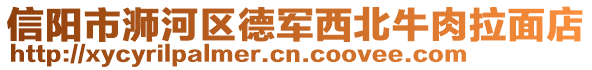 信陽市浉河區(qū)德軍西北牛肉拉面店