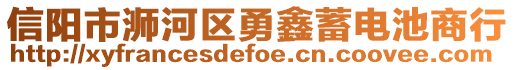 信陽市浉河區(qū)勇鑫蓄電池商行