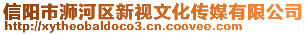 信陽市浉河區(qū)新視文化傳媒有限公司