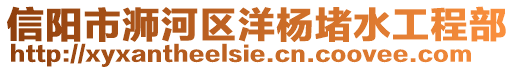 信陽市浉河區洋楊堵水工程部
