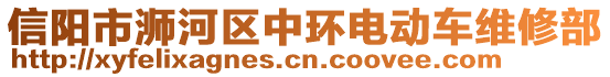 信陽市浉河區(qū)中環(huán)電動車維修部