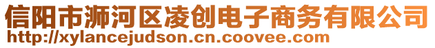 信陽市浉河區(qū)凌創(chuàng)電子商務(wù)有限公司