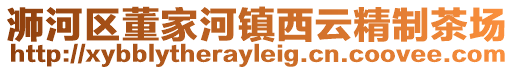 浉河區董家河鎮西云精制茶場