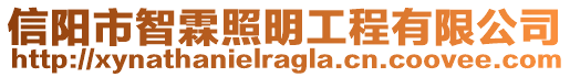 信陽市智霖照明工程有限公司