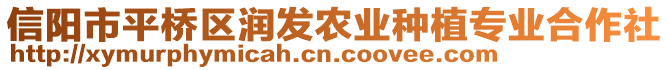 信陽市平橋區(qū)潤發(fā)農(nóng)業(yè)種植專業(yè)合作社