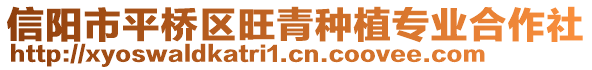 信陽(yáng)市平橋區(qū)旺青種植專業(yè)合作社