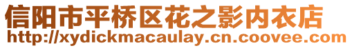 信陽市平橋區花之影內衣店