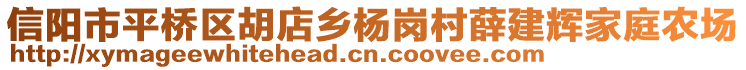 信陽(yáng)市平橋區(qū)胡店鄉(xiāng)楊崗村薛建輝家庭農(nóng)場(chǎng)