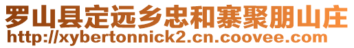 羅山縣定遠(yuǎn)鄉(xiāng)忠和寨聚朋山莊