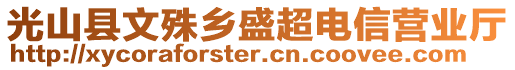 光山縣文殊鄉(xiāng)盛超電信營(yíng)業(yè)廳