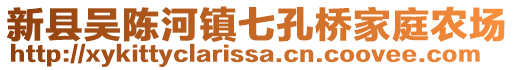 新县吴陈河镇七孔桥家庭农场