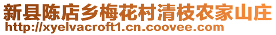 新縣陳店鄉(xiāng)梅花村清枝農(nóng)家山莊