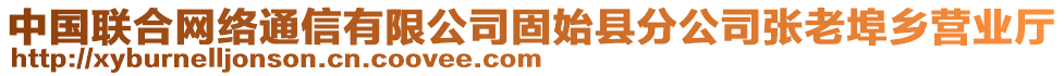 中國聯(lián)合網(wǎng)絡(luò)通信有限公司固始縣分公司張老埠鄉(xiāng)營業(yè)廳