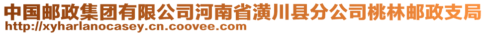 中國郵政集團有限公司河南省潢川縣分公司桃林郵政支局