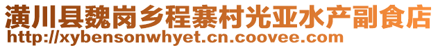 潢川县魏岗乡程寨村光亚水产副食店