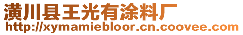 潢川縣王光有涂料廠